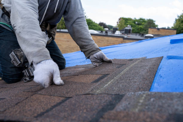 Roof Gutter Cleaning in Garrison, ND