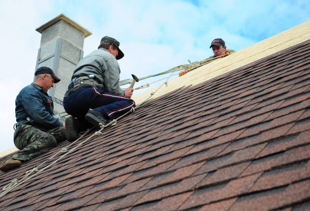 Best Roof Gutter Cleaning  in Garrison, ND